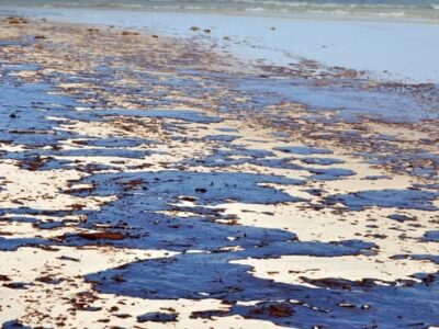 «Чорне море перетворюється на токсичну зону»: біля берегів рф — 900 тонн мазуту  