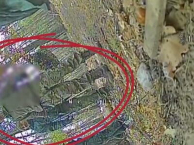 Поплатилися за цікавість — дрон ЗСУ випадково виманив окупантів з укриття, а потім самоліквідувався