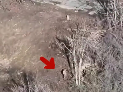 «У трубу зайшов „Комік“!» — бригада «Хижак» оприлюднила панічне перехоплення окупантів після удару дроном