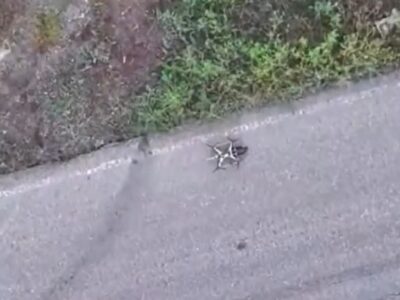 Отримали своє — дронарі усунули «ждунів» раніше, ніж ті знайшли ціль