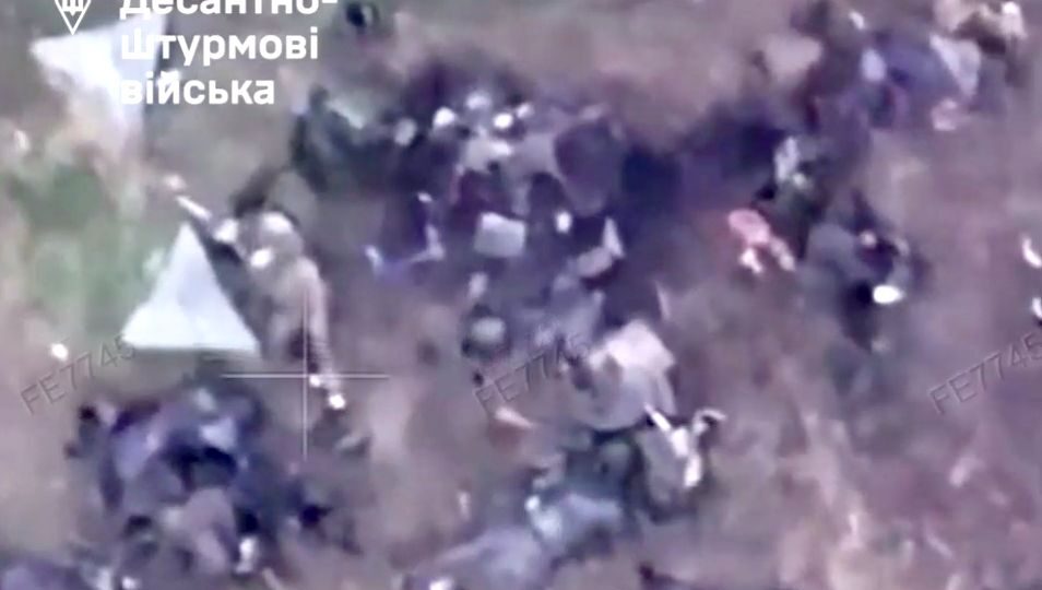 «Кількість трупів вражає» — десантники показали ворожі втрати на Добропільському напрямку  