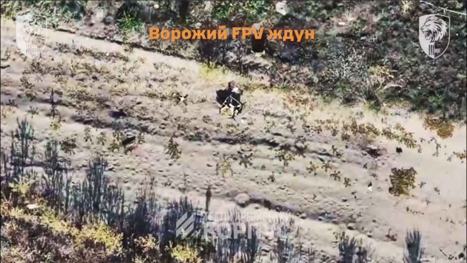 Хороший російський дрон той, який не літає — полювання на ворожі БПЛА та пілотів  