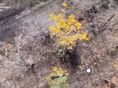 Падає листя, падають скиди, падає ворог — стильна добірка від наших пілотів  