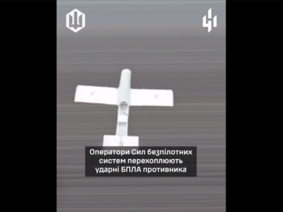 Блискавичне знищення «Молній»: добірка уражень ворожих БПЛА  