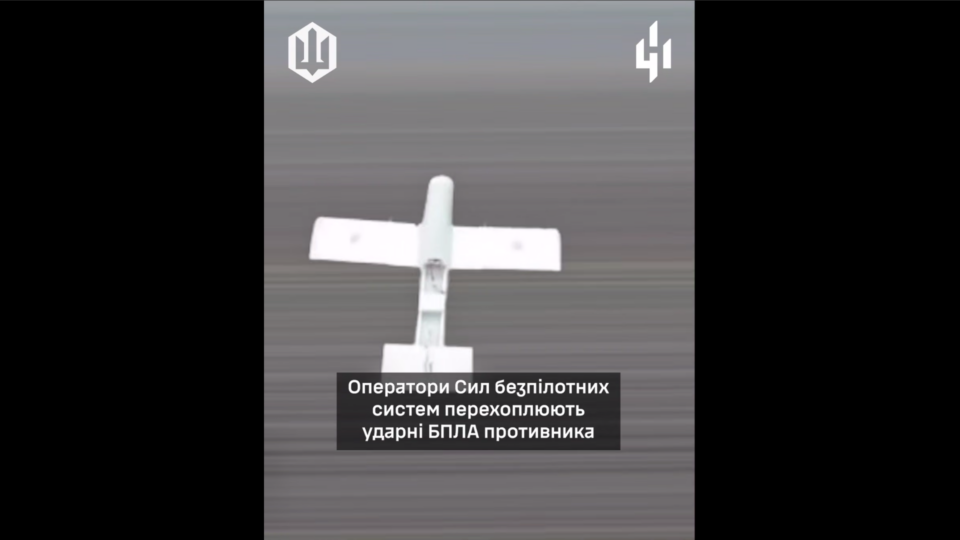 Блискавичне знищення «Молній»: добірка уражень ворожих БПЛА  