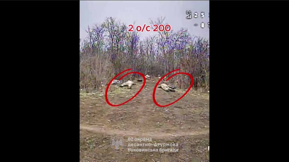 Завжди погана погода для ворога — пілоти-десантники показали добірку уражень  