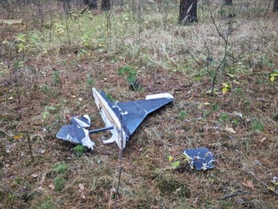 Підійшли надто близько: на Чернігівщині двоє 15-річних грибників постраждали від вибуху збитого БПЛА  
