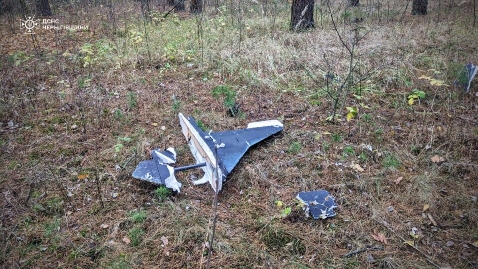 Підійшли надто близько: на Чернігівщині двоє 15-річних грибників постраждали від вибуху збитого БПЛА  