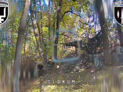 «Розпаковка від Signum»: FPV-дрони знайшли й спалили лісовий автопарк окупантів  