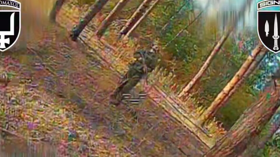 «Обійняв дерево — і полетів у вирій»: «Signum» продовжує сезон полювання на окупантів  