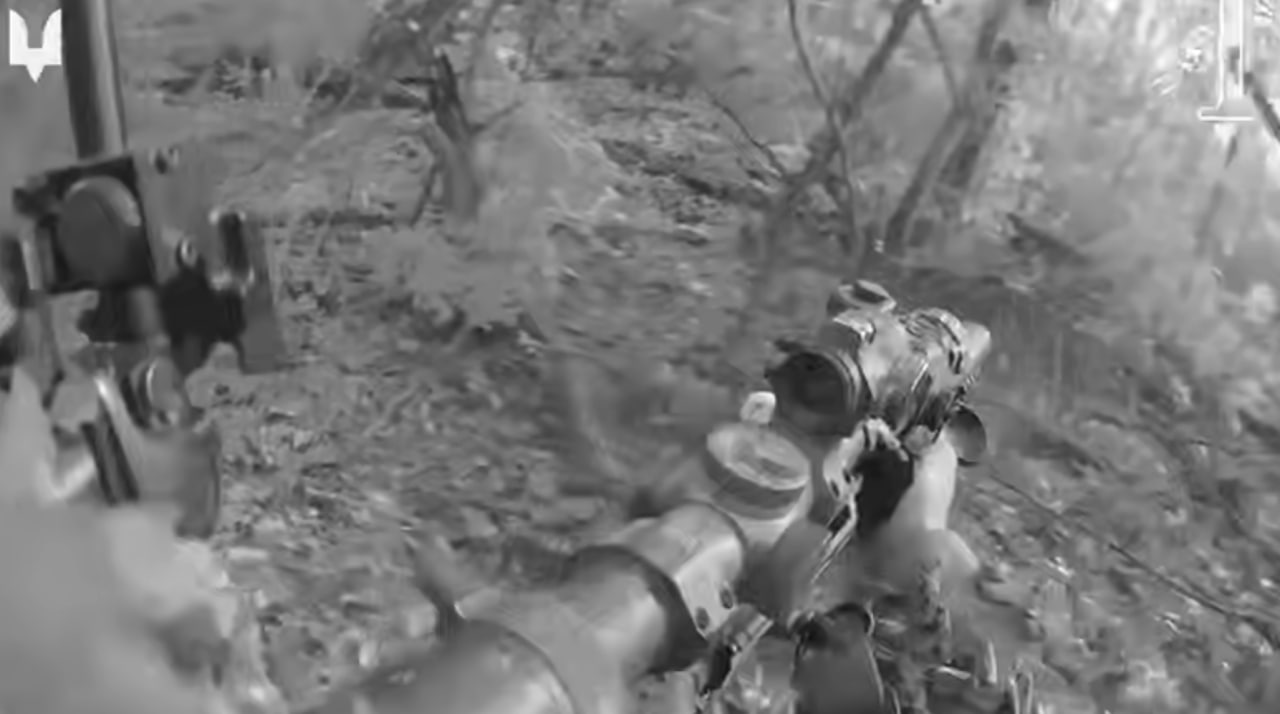 «Тиха зачистка»: ССО показали успішну операцію у лісі на Північно-Слобожанському напрямку