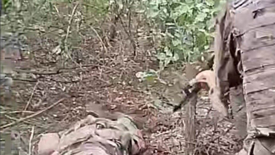 На Донеччині росіяни побили прикладом автомата та розстріляли військовополоненого  