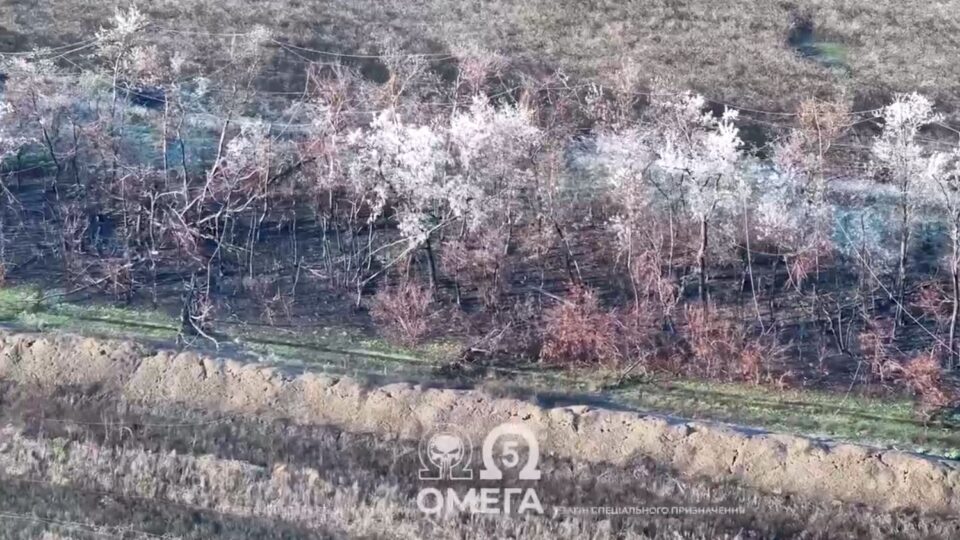 «Це нова реальність фронту»: оптоволокно від FPV поглинає вже цілі лісові масиви  
