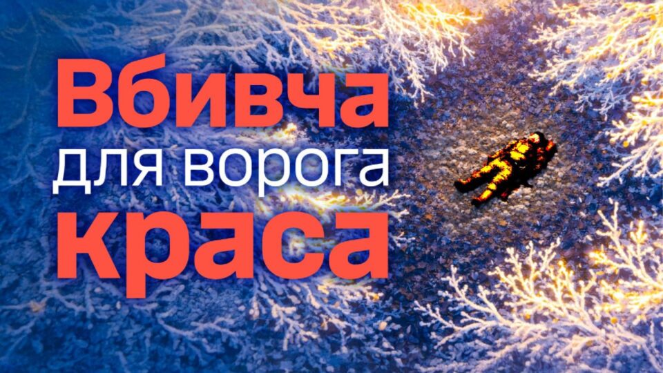 Два бліндажі знищили, два штурми відбили — на Харківщині окупантам зробили гаряче  