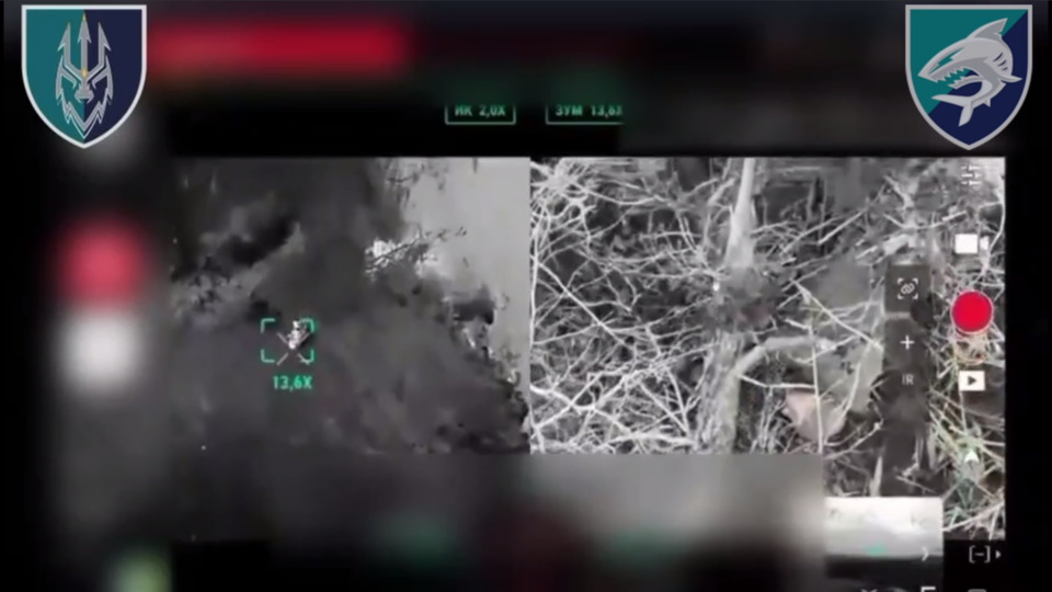 Відспівані в очереті — знищення російських штурмовиків на Херсонщині  