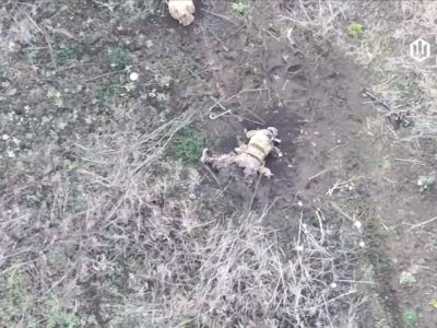 Ідуть, гинуть, ідуть нові — дронарі продовжують нищити російських штурмовиків на Харківщині  