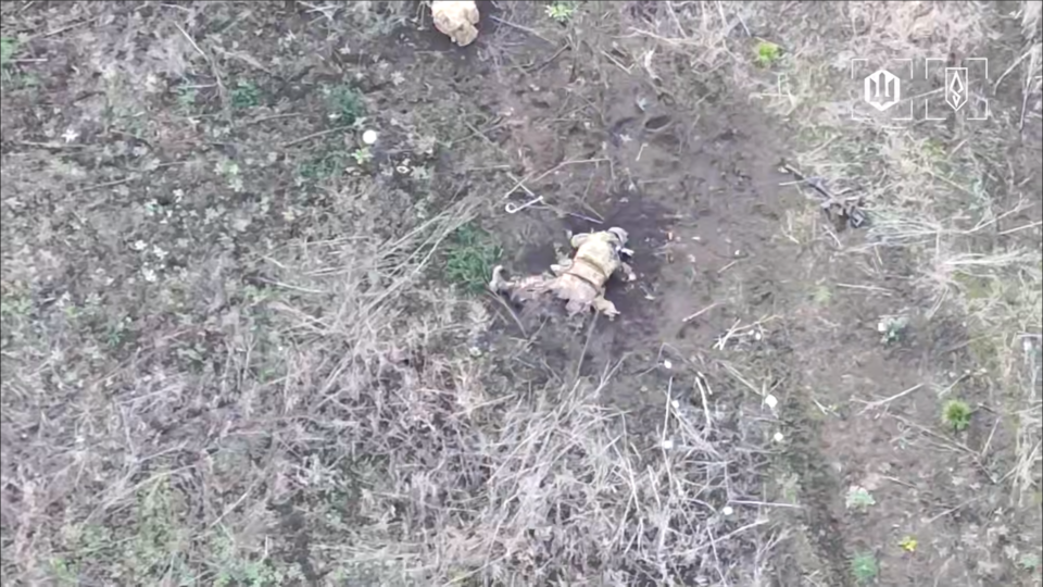 Ідуть, гинуть, ідуть нові — дронарі продовжують нищити російських штурмовиків на Харківщині  