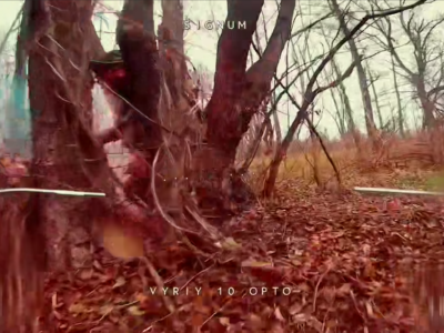 Смерть не розлучила їх — російських штурмовиків загнали помирати під одне дерево  