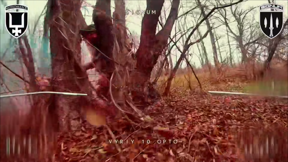 Смерть не розлучила їх — російських штурмовиків загнали помирати під одне дерево  