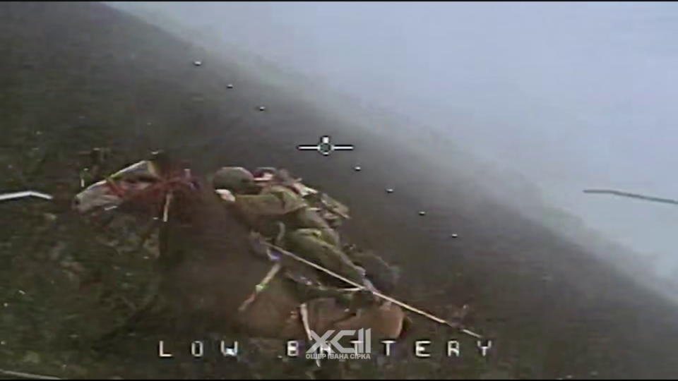 Окупанти кинули в бій кавалерію — наші пілоти вполювали російських вершників  