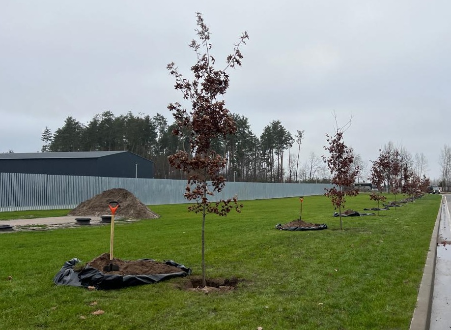 На Національному військовому меморіальному кладовищі висадили перші дерева у рамках проєкту «Алея дубів. Національна пам’ять»