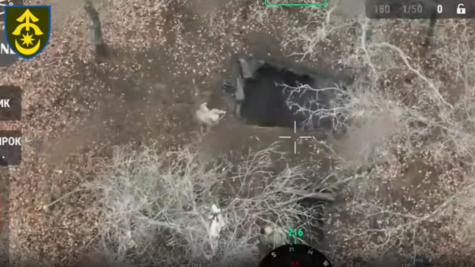 Зачистка в лісі: штурмовики 31-ї бригади знищили п’ятьох окупантів у бліндажі  