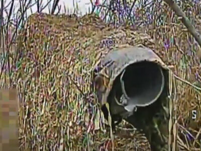 Костянтинівський напрямок: дронарі знищили гармати, транспорт і «Град-П» окупантів  