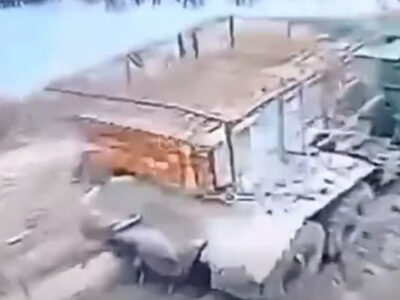 «Град» із повним пакетом: десантники знищили РСЗВ окупантів під Мирноградом  