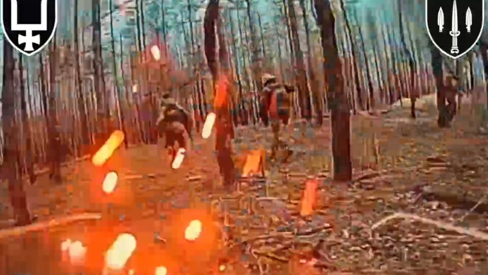 «Отримують квиток в один бік»: бійці Signum винищують ворожу піхоту в лісі  