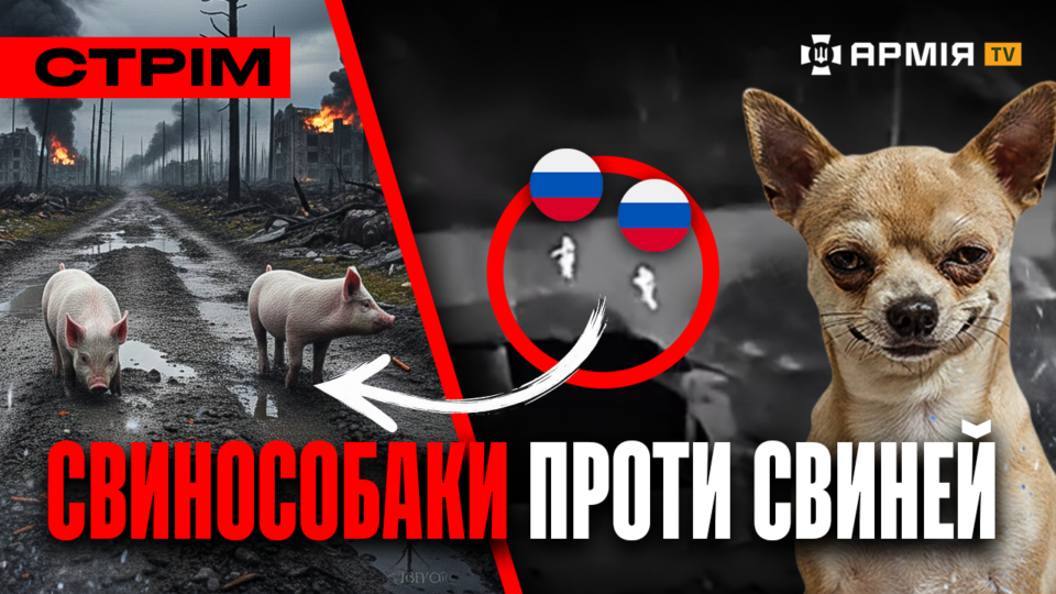 Росіяни здаються в полон у Покровську, американець про війну в Україні, собаки їдять русню: стрім  