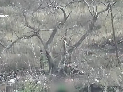 Окупанти від яблуні впали недалеко — пару російських штурмовиків вистежили під деревом  