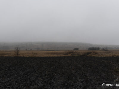 «Певний сюрреалізм» — на Олександрівському напрямку окупанти застосовують коней  