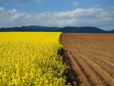 Держгеокадастр і ГО «Захист оборонних фондів»: новий Меморандум для збереження земель оборони  