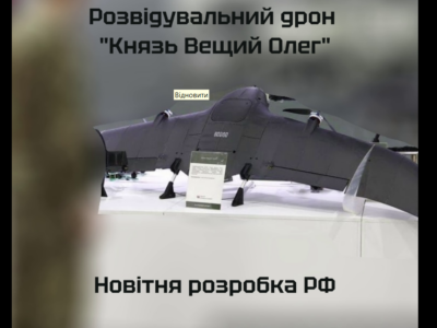 «Аналоговнєт» не долетів: перехоплювачі знищили дрон «Князь Вєщій Олєг» над Гуляйполем  