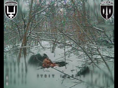 Між гілками й тінями — український дрон загнав окупанта у смертельну пастку  