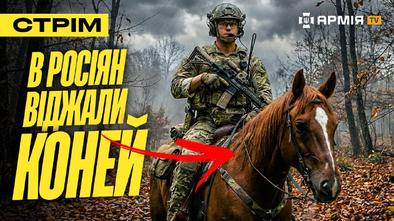 «Хартія» ліквідувала 70 росіян, ССО підірвали будинок з окупантами, віджали коней у русні: стрім  