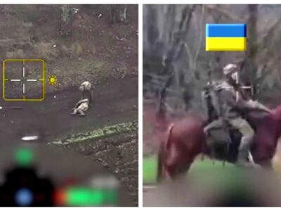 Корисний трофей: бійці 1 ОШП знищили ворожих вершників, зберігши життя їхнім коням  