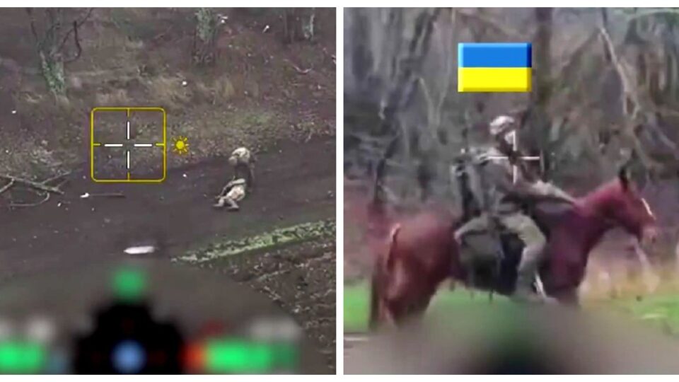 Корисний трофей: бійці 1 ОШП знищили ворожих вершників, зберігши життя їхнім коням  