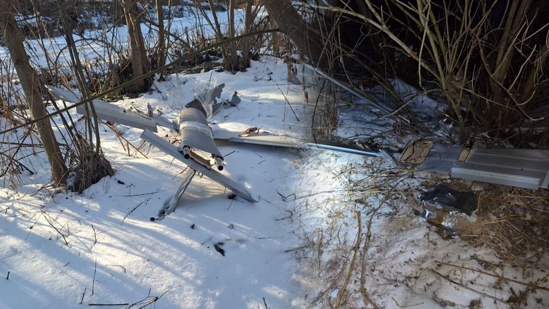 На фото видно уламки збитого БПЛА «Молнія», що лежать на снігу серед кущів і дерев. Корпус апарата пошкоджений, поруч розкидані фрагменти крил та інших елементів конструкції. Знімок зроблено на відкритій ділянці місцевості біля заростей, де дрон упав після ураження.