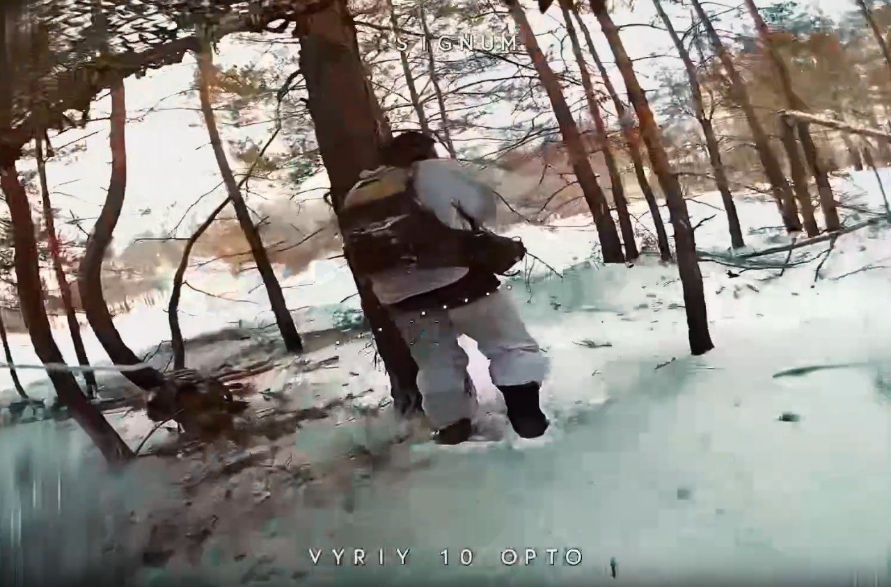 Окупант серед дерев