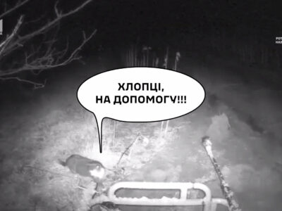 «І тут з’явився кіт!»: хвостатий побратим врятував з пастки наземний дрон  