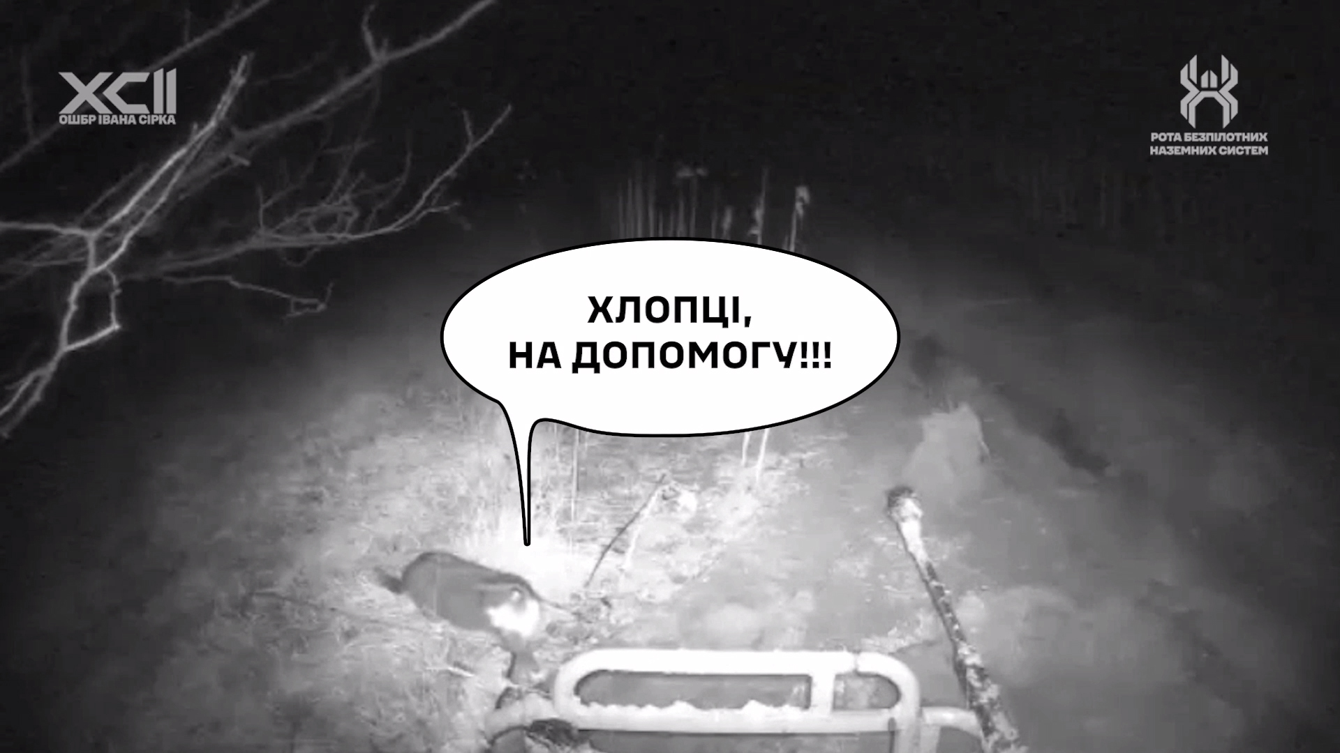 На нічному чорно-білому знімку з камери спостереження видно кота, який стоїть на землі серед гілля та сухої трави поруч із якимось обладнанням або конструкцією. Над твариною додано жартівливу репліку в хмаринці: «Хлопці, на допомогу!!!», що створює комічний ефект.