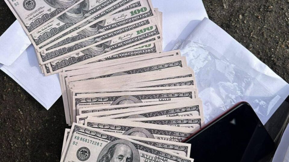 Робили з ухилянтів «іноземців» — у Дніпрі викрили чиновницю та адвоката  