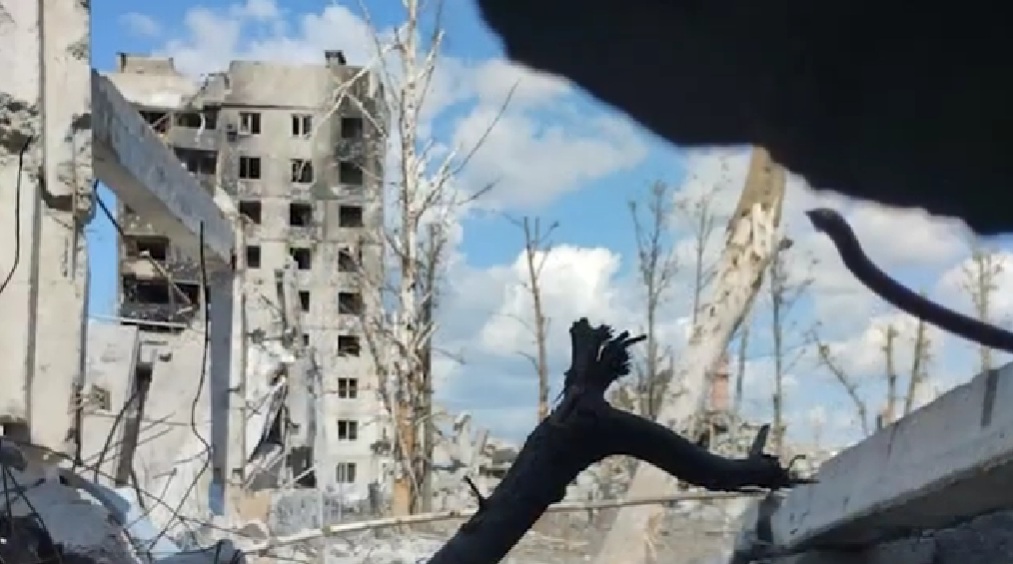 Руїни Вовчанська