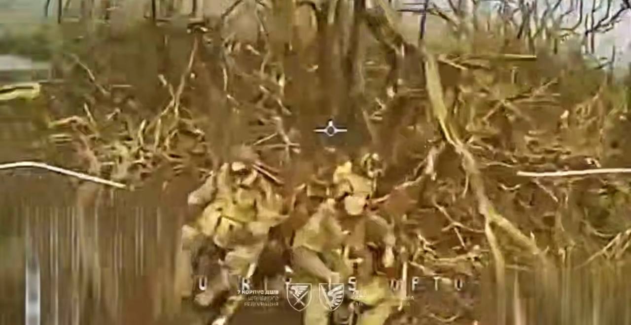 Дрон ДШВ атакує двох росіян, які сидять під деревом.