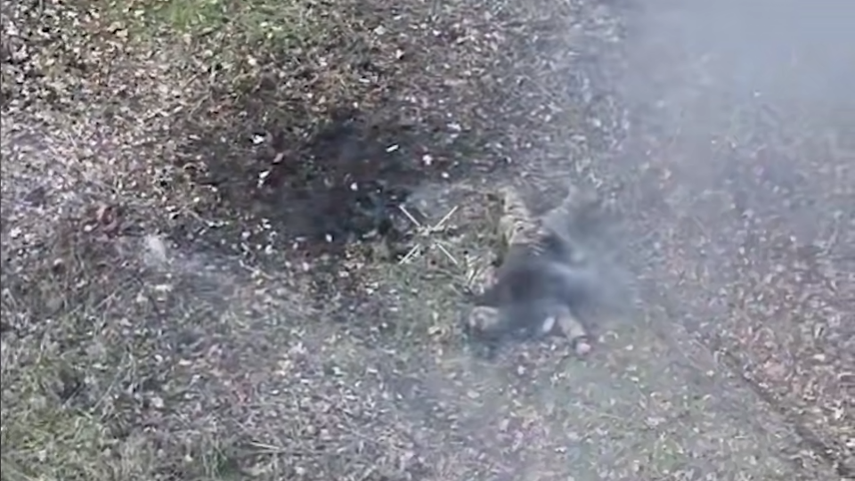 Троє росіян вирішили штурмувати, але дрони прилетіли…: смертельна лічилка від наших пілотів  