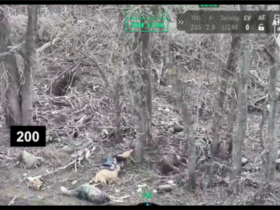 Коні не винні: росіяни влаштували «м’ясний» штурм кавалерією  