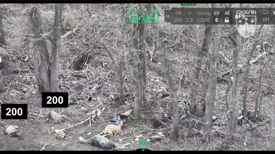 Коні не винні: росіяни влаштували «м’ясний» штурм кавалерією  