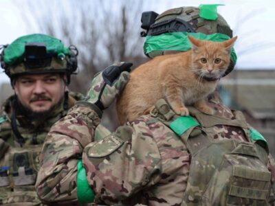 Вийшли з Костянтинівки з рудим котом: «Хижаки» не залишили пухнастого побратима  