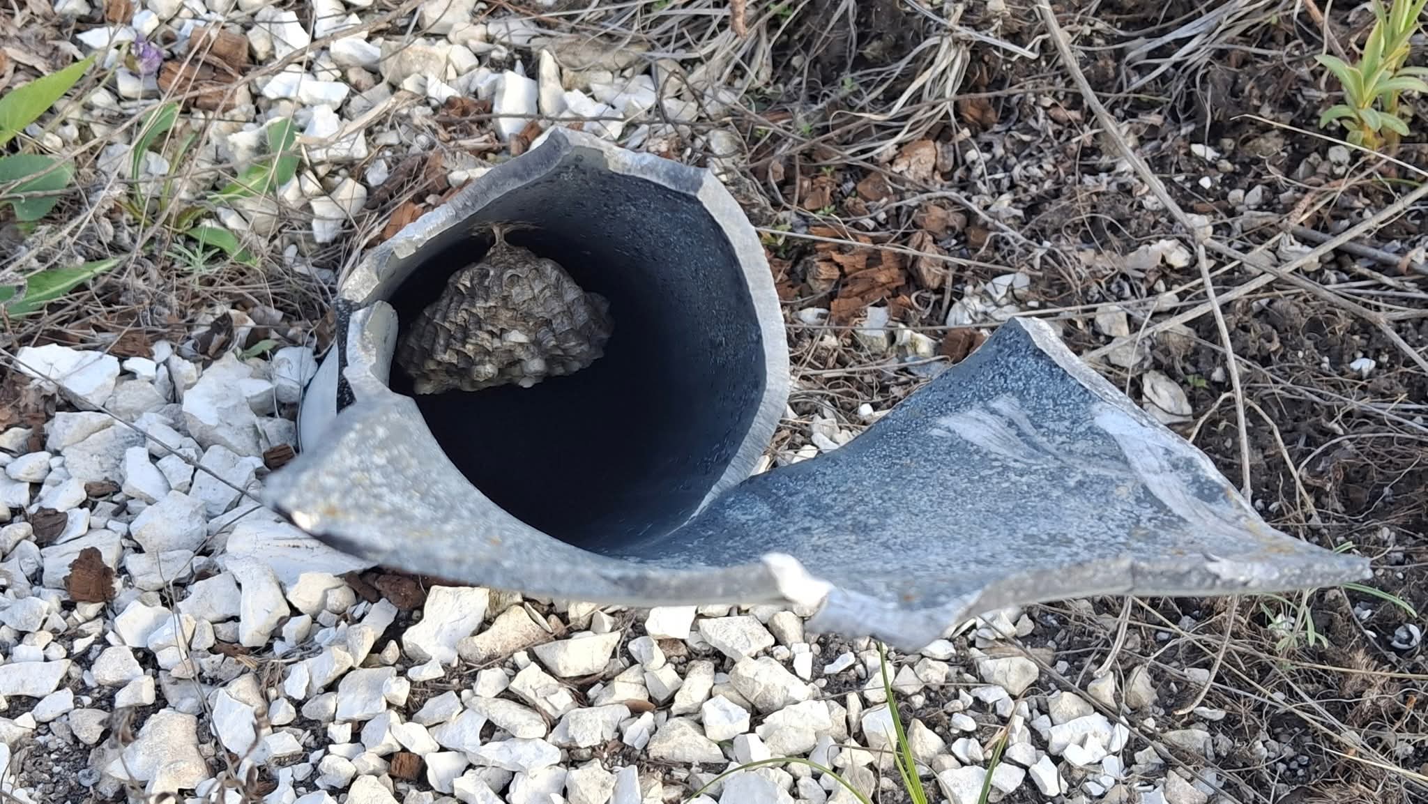 Гільза від снаряду